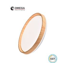 צמוד תקרה דקורטיבי FLY CCT