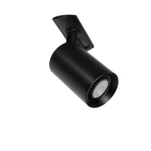 שגב חד פאזי